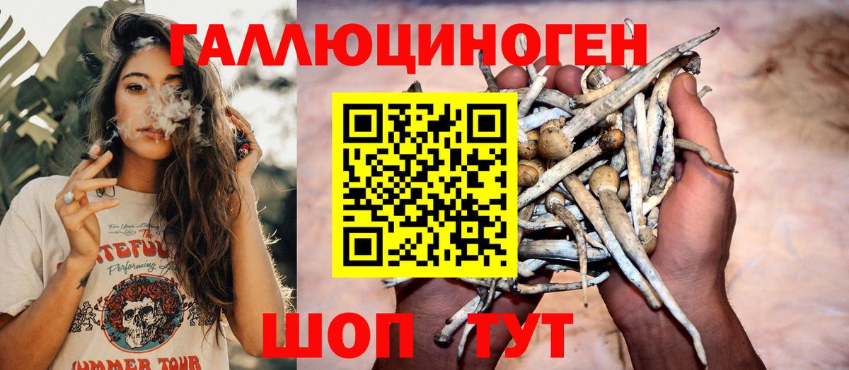Галлюциногенные грибы мицелий Сунжа